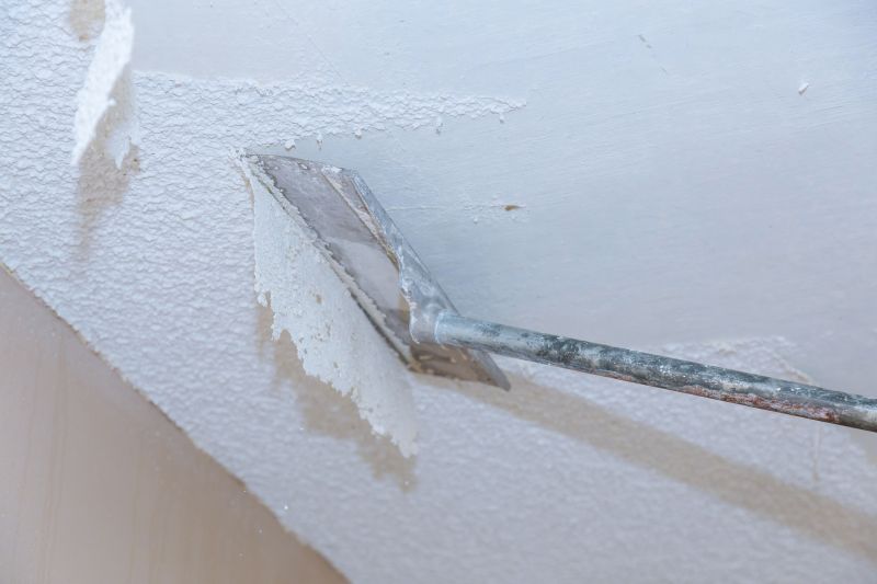 Textured Ceiling Removal detail