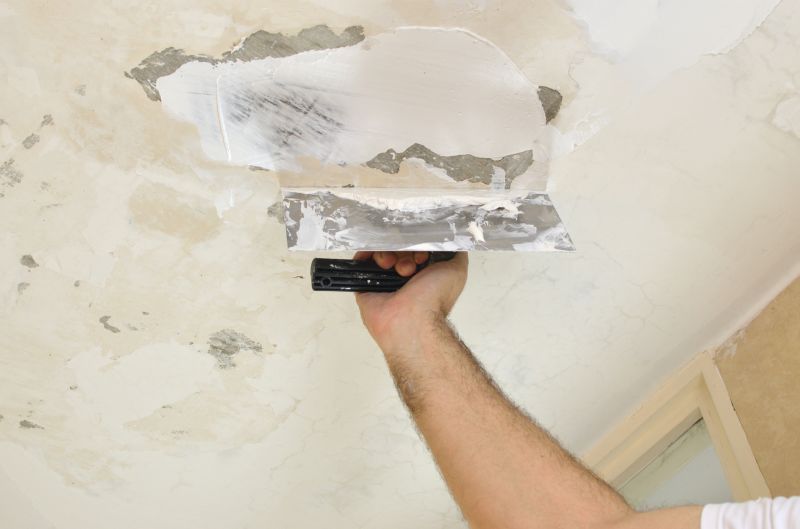 Textured Ceiling Repair detail