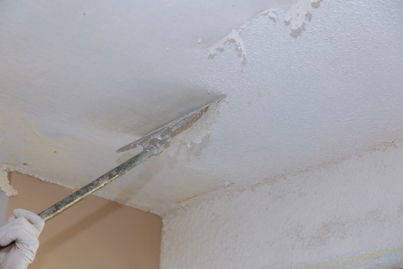 Textured Ceiling Removal